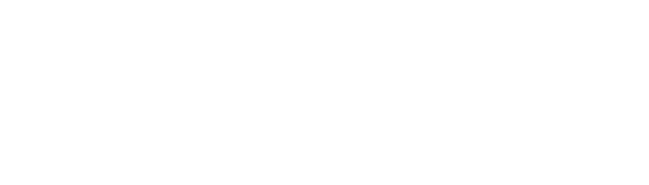 ZDetail